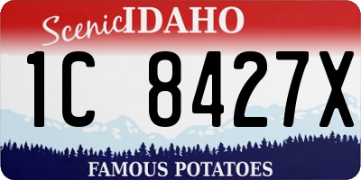 ID license plate 1C8427X