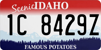 ID license plate 1C8429Z