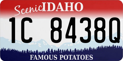 ID license plate 1C8438Q