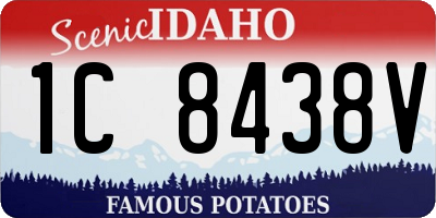 ID license plate 1C8438V