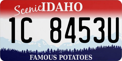 ID license plate 1C8453U