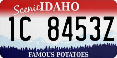 ID license plate 1C8453Z