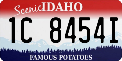 ID license plate 1C8454I