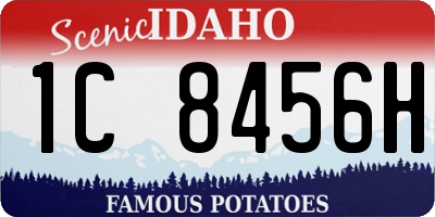 ID license plate 1C8456H