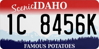 ID license plate 1C8456K