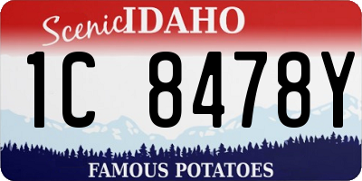 ID license plate 1C8478Y