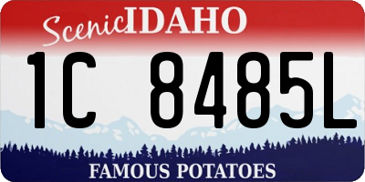 ID license plate 1C8485L
