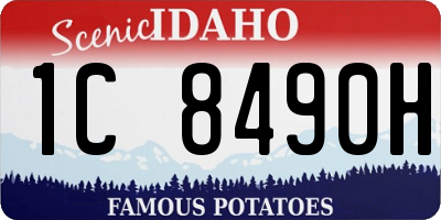 ID license plate 1C8490H