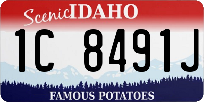 ID license plate 1C8491J