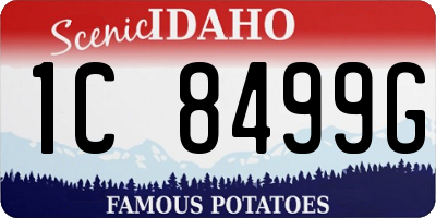 ID license plate 1C8499G