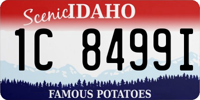 ID license plate 1C8499I