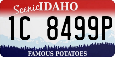 ID license plate 1C8499P