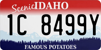 ID license plate 1C8499Y