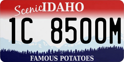 ID license plate 1C8500M