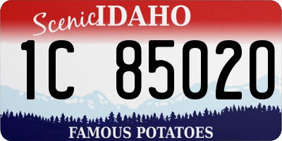 ID license plate 1C8502O