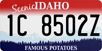 ID license plate 1C8502Z