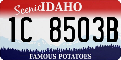 ID license plate 1C8503B