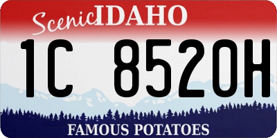 ID license plate 1C8520H