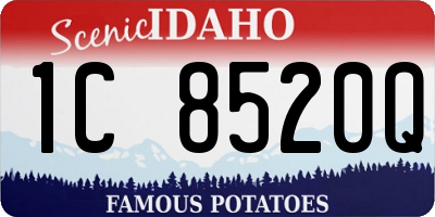 ID license plate 1C8520Q