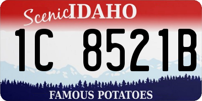 ID license plate 1C8521B