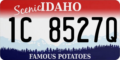 ID license plate 1C8527Q