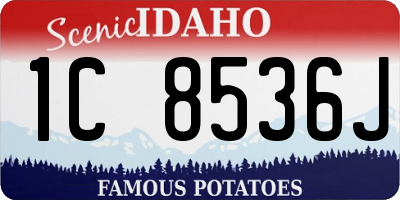 ID license plate 1C8536J