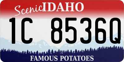 ID license plate 1C8536Q
