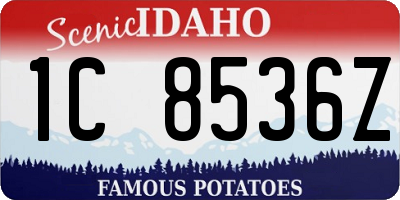 ID license plate 1C8536Z