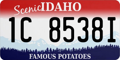 ID license plate 1C8538I