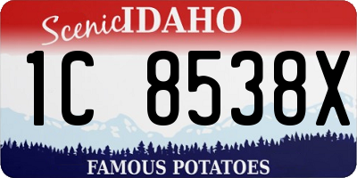 ID license plate 1C8538X