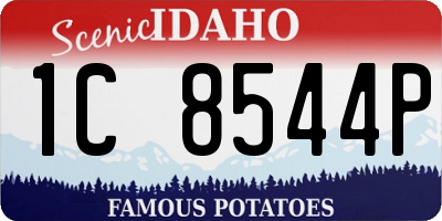 ID license plate 1C8544P