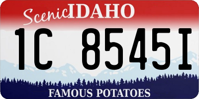 ID license plate 1C8545I