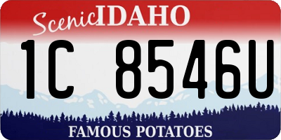 ID license plate 1C8546U