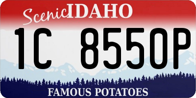 ID license plate 1C8550P