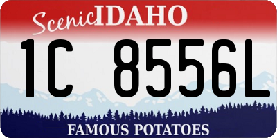 ID license plate 1C8556L