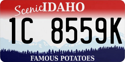 ID license plate 1C8559K