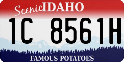 ID license plate 1C8561H