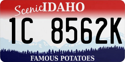 ID license plate 1C8562K