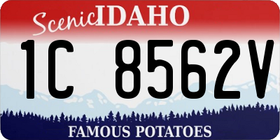 ID license plate 1C8562V