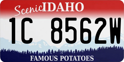 ID license plate 1C8562W