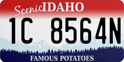 ID license plate 1C8564N