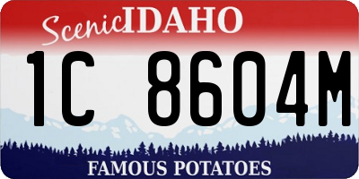ID license plate 1C8604M