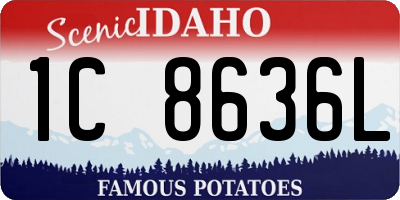 ID license plate 1C8636L