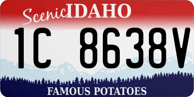 ID license plate 1C8638V