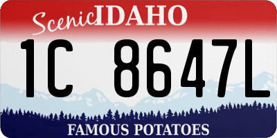 ID license plate 1C8647L