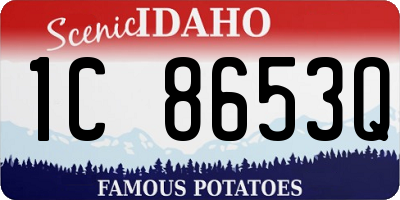 ID license plate 1C8653Q