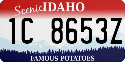 ID license plate 1C8653Z