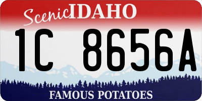 ID license plate 1C8656A