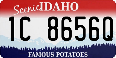 ID license plate 1C8656Q
