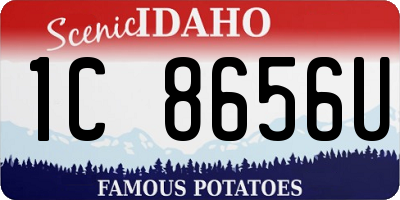 ID license plate 1C8656U